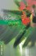 Gulmohar (Marathi, Paperback, 17th Revised edition): V.P. Kale