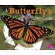 A Butterflys Life Cycle (Explore Life Cycles) (Paperback): Mary R. Dunn