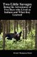 Two Little Savages - Being the Adventures of Two Boys Who Lived as Indians and What They Learned (Hardcover): Ernest Thompson...