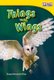 Things with Wings (Paperback, 2nd edition): Dona Herweck Rice