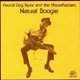 Various Artists - Natural Boogie (CD): Hound Dog Taylor, Ted Harvey, Bruce Iglauer, Tom Coyne, Brewer Phillips, Stu Black