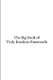 The Big Book of Truly Random Passwords (Paperback): John Snape
