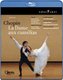 Various Artists - La Dame Aux Camelias: Palais Garnier (Blu-ray disc): Michael Schmidtsdorff, Frdric Chopin, Paris Opera...