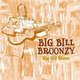 Big Bill Broonzy - Big Bill Blues (CD): Big Bill Broonzy