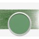 PanPastel Artist's Pastels - Ultra Soft (Chromium Oxide Green - Tint 5): 