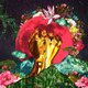Rina Mushonga - In A Galaxy (CD): Rina Mushonga