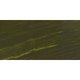 Williamsburg Oil Paint (150ml)(Earth Green): 