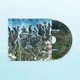 Disclosure - Energy (CD): Disclosure