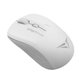 Alcatroz Airmouse Duo 3 Silent Wireless and Bluetooth Mouse (Mist): 
