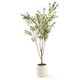 Chenshia Artificial Olive Tree in Pot-Realistic Indoor&Outdoor Plant Dcor - 210.0 cm: 