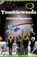 Tumbleweeds! - The Last Penny Candy Store on Earth (Paperback): Edward Morneau