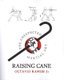 Raising Cane - The Unexpected Martial Art (Paperback): Octavio Ramos