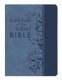 Battlefield of the Mind Bible - Renew Your Mind Through the Power of God's Word (Leather / fine binding, Amplified...
