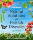 Natural Solutions for Pests & Diseases - In Organic Edible Gardens (Hardcover): Jane Griffiths