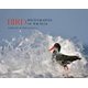 Bird Photographer of the Year - Collection 5 (Hardcover): Bird Photographer of the Year