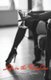 Life in the Fast Lane (Paperback): Stephany Alleyroux