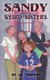 Sandy and the Weird Sisters (Paperback): J. D. Newman
