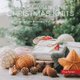 Scandinavian-Style Christmas Knits - 27 Ornaments and Decorations for a Nordic Holiday (Paperback): Thea Rytter