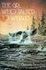 The Girl Who Talked to Whales (Paperback): Graciela F. Beecher