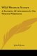 Wild Western Scenes - A Narrative Of Adventures In The Western Wilderness (Paperback): John B Jones