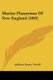 Marine Planarians Of New England (1893) (Paperback): Addison Emery Verrill
