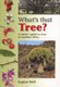 What's That Tree? (Paperback): Eugene Moll