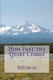 How Fast the Quiet Comes (Paperback): Will Sarvis
