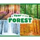 A Year in the Forest (Hardcover): Christina Mia Gardeski