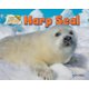 Harp Seal (Paperback): Dee Phillips