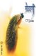 Premamayee (Marathi, Paperback, 15th Revised edition): V.P. Kale