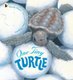 One Tiny Turtle (Paperback): Nicola Davies