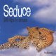 Seduce - 100 Tips to Arouse (Hardcover): Eva Gizowska