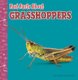 Fast Facts about Grasshoppers (Hardcover): Julia Garstecki-Derkovitz