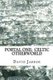 Portal One - Celtic Otherworld: Enter the Immortals / The Missing Element (Paperback): MR David M Jarboe