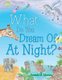 What Do You Dream of at Night? (Paperback): Amanda M. Moomey
