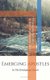 Emerging Apostles in the Developing Church (Paperback): Ron Wood