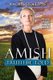 Amish Truth Be Told (Paperback): Rachel Stoltzfus