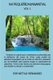 MI PEQUENO MANANTIAL Volumen 1 - Auxiliar para predicadores (Spanish, Paperback): Neftali Hernandez