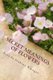 Secret Meanings of Flowers - Including Trees, Shrubs, Vines and Herbs (Paperback): Brenda Jenkins Kleager Med
