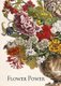 Flower Power (Hardcover): Catherine Phillips, Helena Stretsova