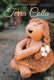 Terra Cotta (Hardcover): Bet Howard Amante