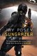 Sungrazer (Paperback, New edition): Jay Posey