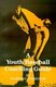 A Youth Baseball Coaching Guide (Paperback): Danford Chamness