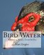 Bird Water - Appalachian Foothills (Paperback): Matt Zeigler