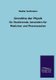 Grundriss Der Physik (German, Paperback): Walter Guttmann