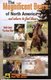 Magnificent Bears of North America - And Where to Find Them (Paperback): Keith Scott
