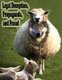 Legal Deception, Propaganda, and Fraud, Volume 1 - Form #05.014 (Paperback): Sovereignty Educat And Defense Ministry