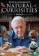 Natural Curiosities - Season 4 (DVD): David Attenborough