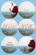 Hello Now (Hardcover): Jenny Valentine