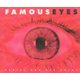 Famous Eyes (Hardcover): Daniel Fuchs, Geo Fuchs